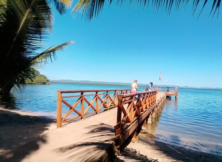 A wooden pier extending into calm waters, palm trees on the left, and a clear blue sky. 2