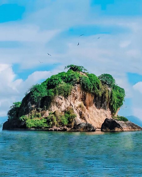 A small island with lush greenery and clear blue water. 3