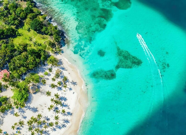 A tropical beach with clear turquoise waters, palm trees, and a sandy shore. 1