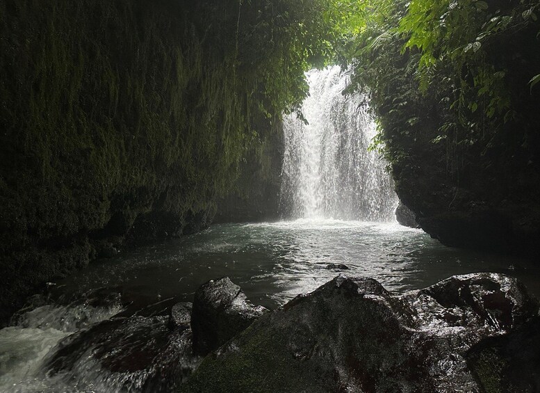 A waterfall cascading into a pool surrounded by moss-covered rocks and dense foliage. 4