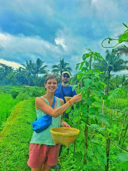 Two people harvesting plants in a lush green field with palm trees in the background. 5