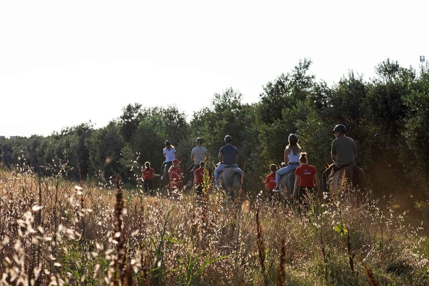A group of people riding horses through a field with tall grasses and trees in the background. 3