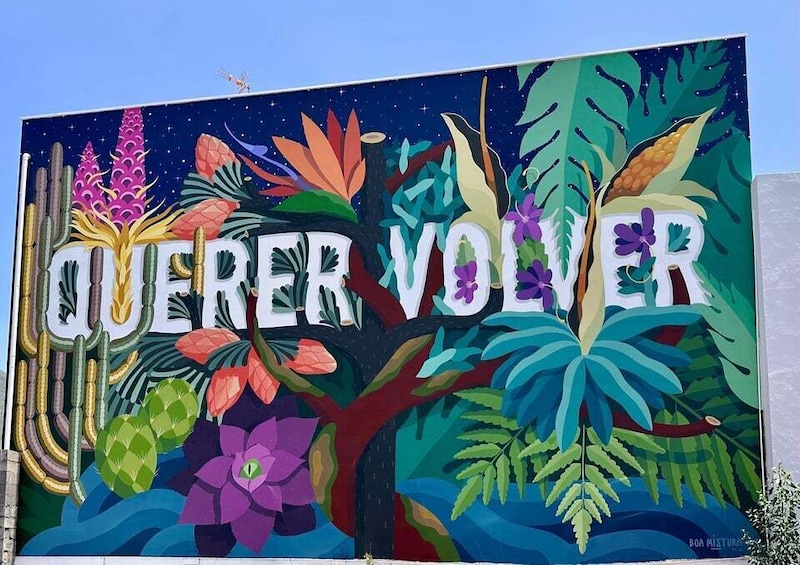 A colorful mural with the phrase 'QUERER VOLVER' and various tropical plants. 5