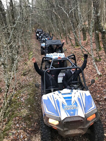 A group of off-road vehicles navigating a forest trail. 3