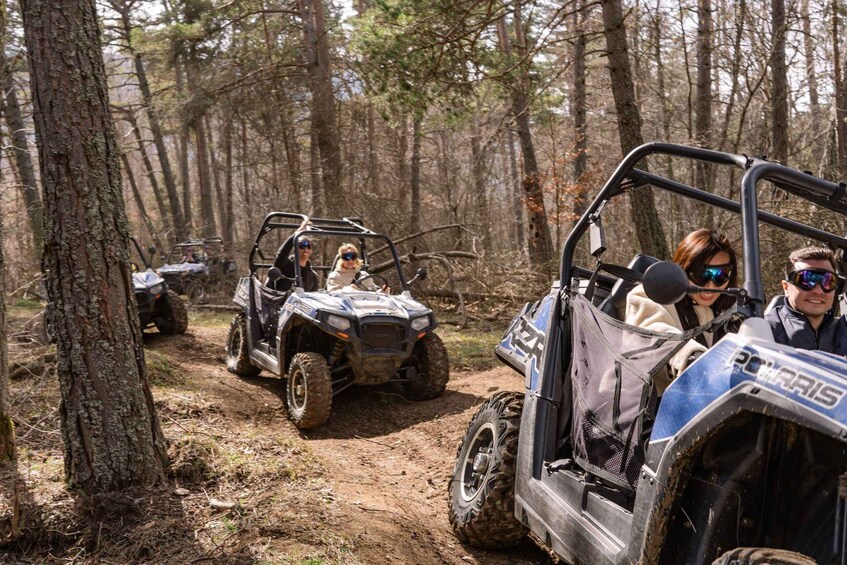 Off-road vehicles on a forest trail. 1