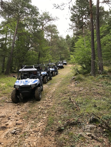 A line of ATVs on a forest trail. 5