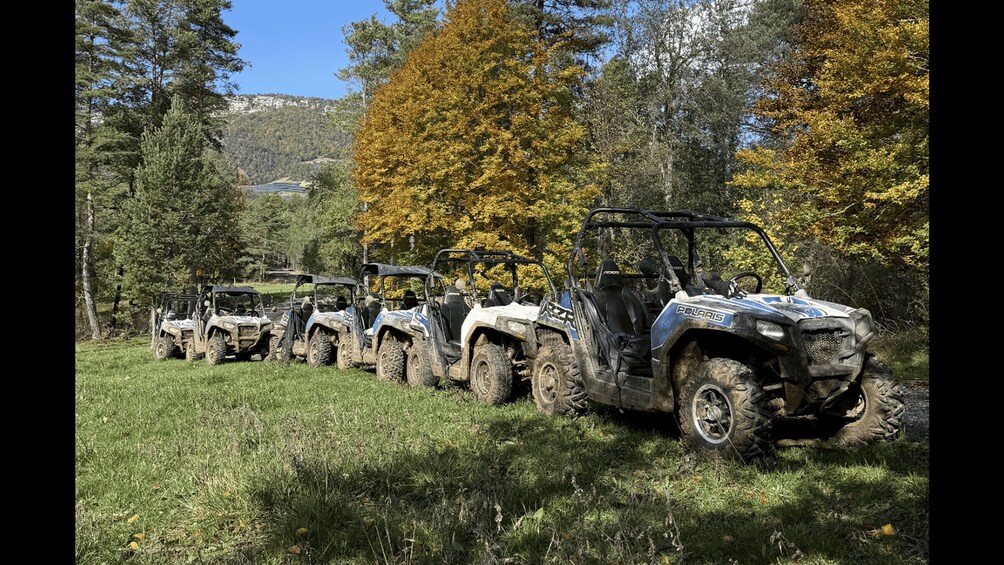 A row of off-road vehicles parked in a grassy field with trees in the background. 4