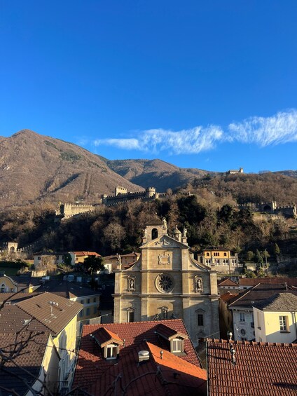A historic town with a prominent church, a castle on a hill, and terraced vineyards. 1