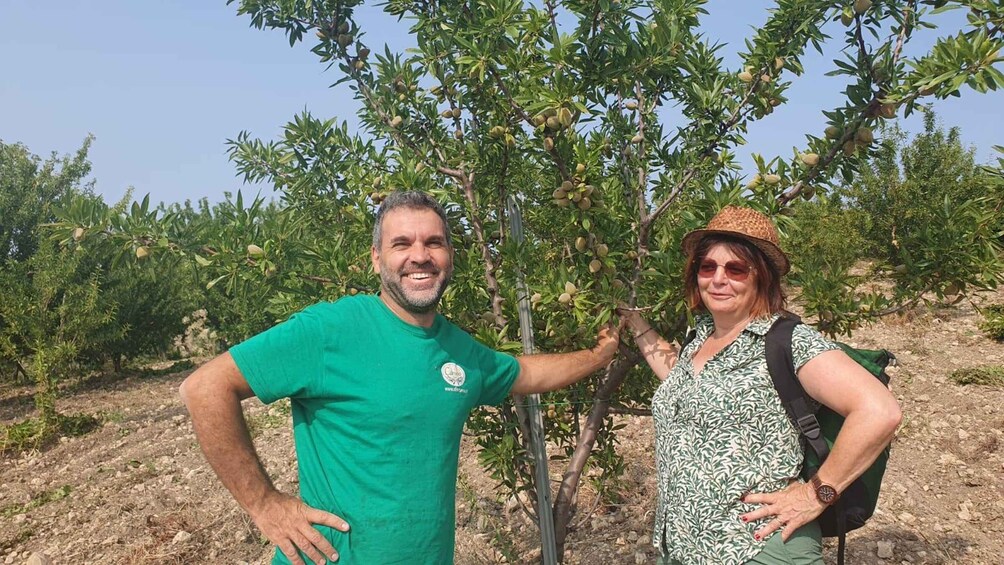 Two people standing in an olive grove with trees bearing fruit. 1