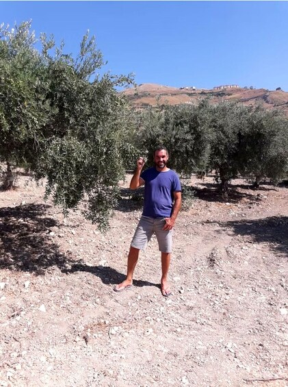 A man standing in an olive grove with trees and a hill in the background. 2