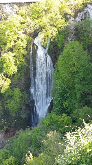 A waterfall cascading down a rocky cliff surrounded by dense green foliage. 3