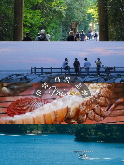 A coastal walkway with people walking, a rocky pier, and a close-up of a crab. 4