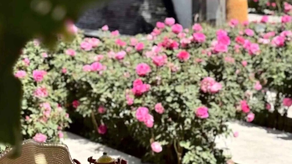 A garden with pink flowers and a wicker chair. 4