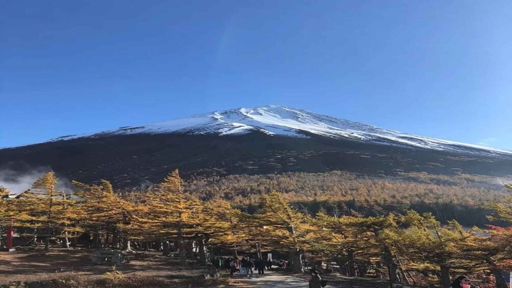 A snow-capped mountain, a forested area with autumn-colored trees, and a clear blue sky. 3