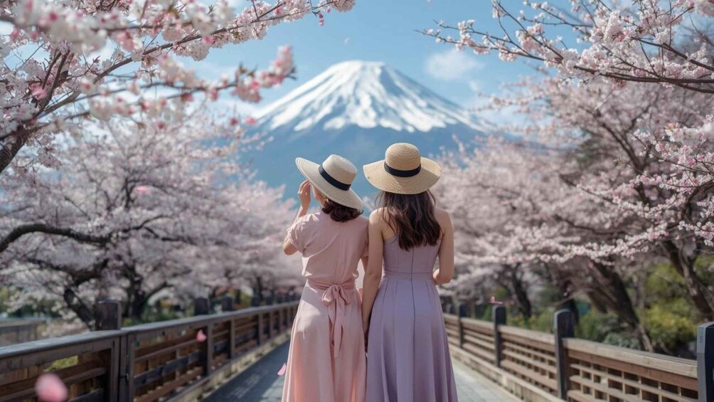 Two people walking on a bridge with cherry blossoms and a mountain in the background. 1