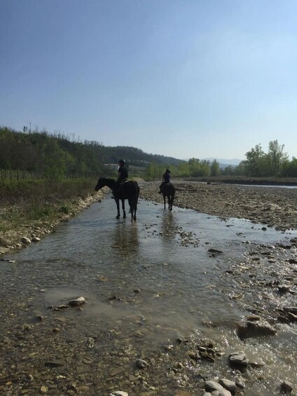 Two people riding horses along a shallow water crossing. 1