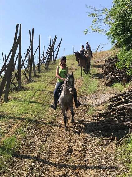 A person riding a horse on a dirt path with wooden fences on one side. 3