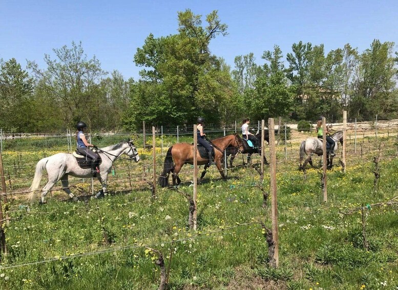 People riding horses in a fenced field with trees and flowers. 1