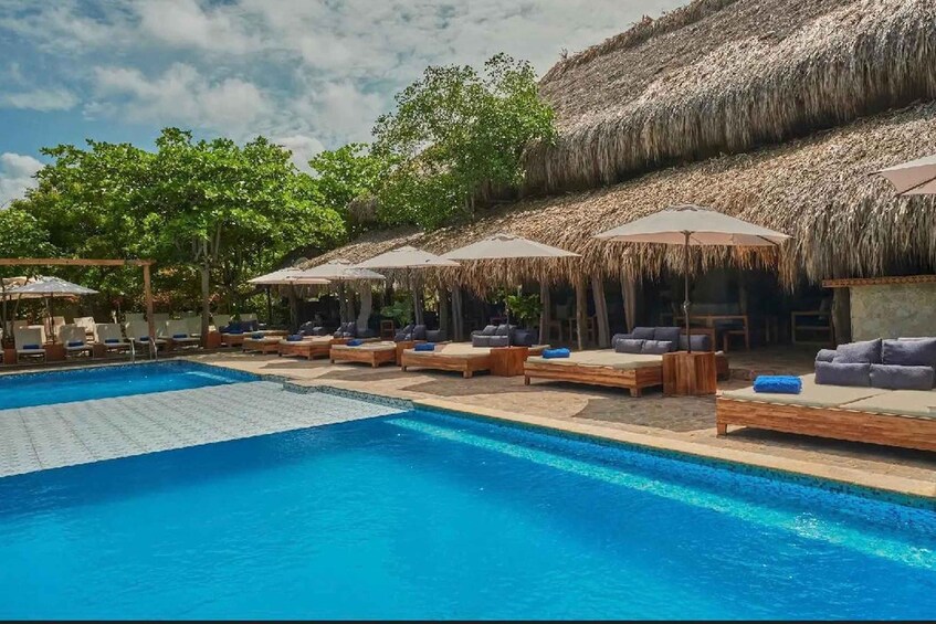 A swimming pool with lounge chairs and umbrellas, surrounded by trees and a thatched-roof structure. 3