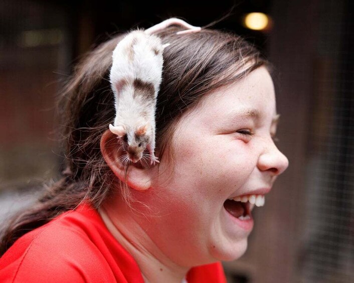 A person with a rat on their head. 1