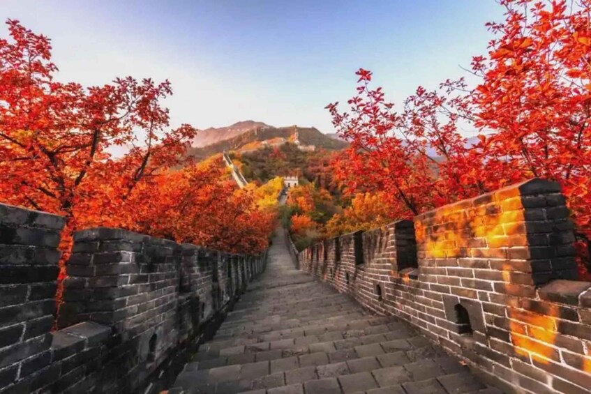 A pathway flanked by red autumn leaves and brick walls leading to a distant mountain. 3
