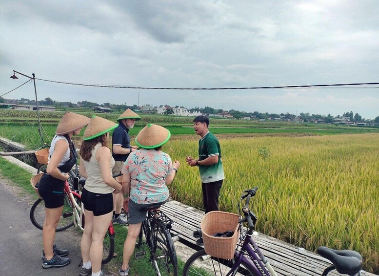 A group of people standing on a path beside a rice field, with bicycles and a bench. 3