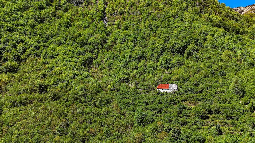 A house with a red roof nestled among dense green forest on a hillside. 2