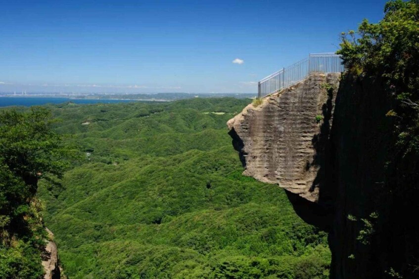 A cliff with a metal railing overlooking a dense green forest and a distant view of a bridge. 3