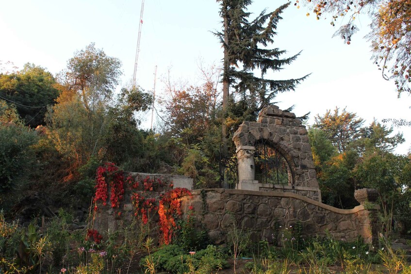 A stone bridge, lush greenery, and a tall evergreen tree. 1
