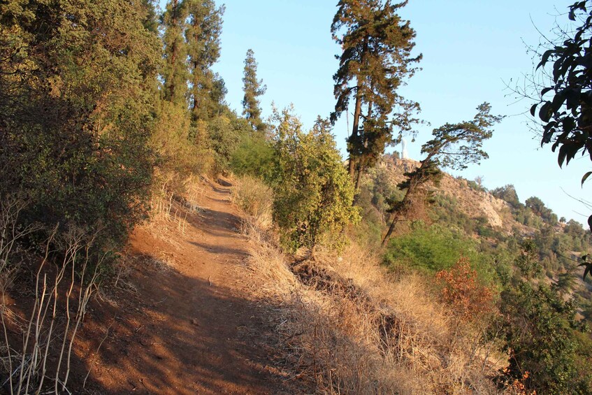 A dirt trail winding through a forested hillside. 3