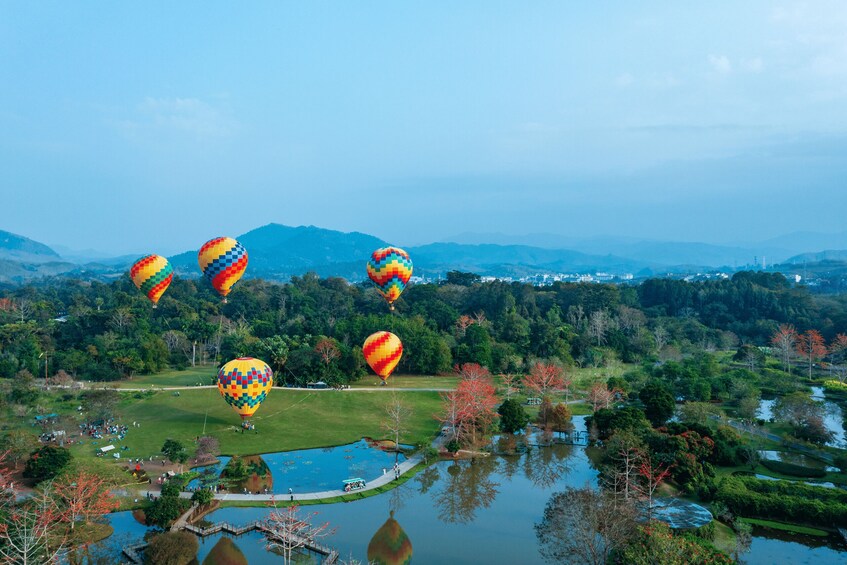 Hot air balloons over a park with a lake and trees. 3