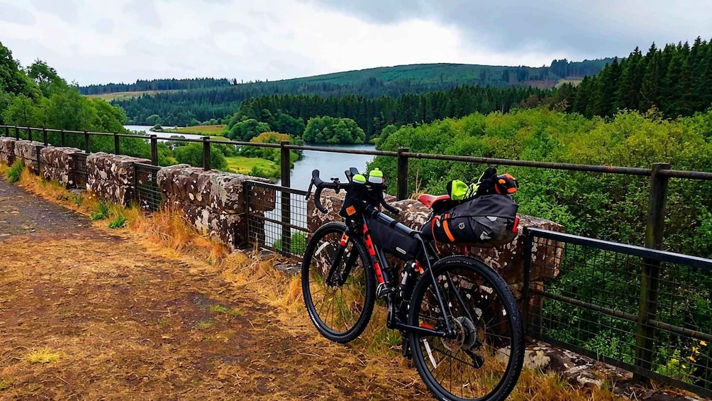 Picture 2 for Activity AdventureByBicycle — Kielder Forest Guided Gravel Adventure 3