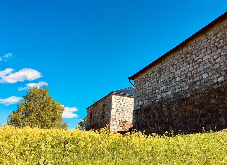 A stone building with a sloped roof, surrounded by a field of yellow flowers under a clear blue sky. 3