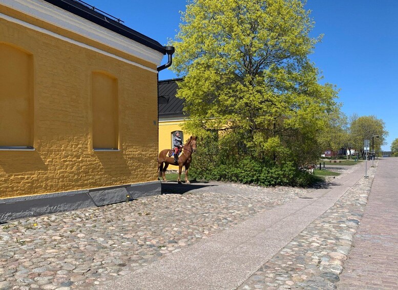 A cobblestone path, a yellow building, and a horse. 5