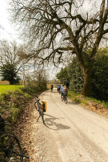 A gravel path with cyclists, trees, and a bicycle parked on the side. 5