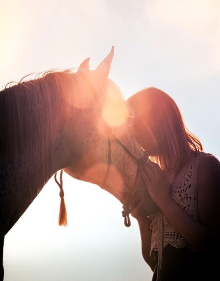 Horse Walk & Nervous System Reset-Three country point Aachen 4