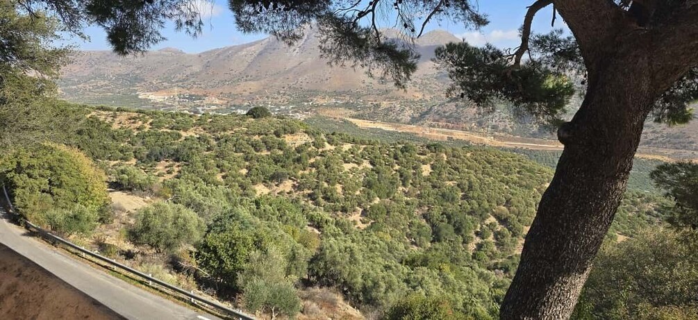 A mountainous landscape with dense vegetation and a road in the foreground. 3