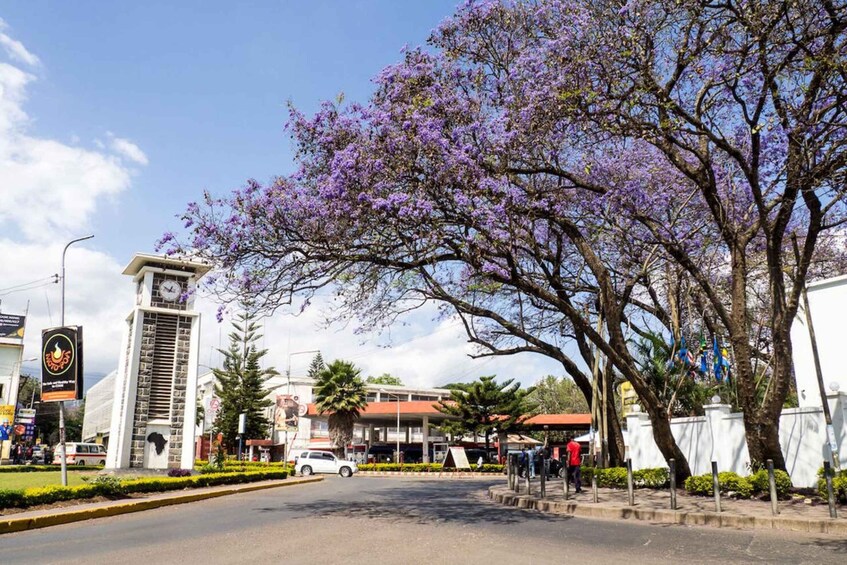 A street with a clock tower, a tree with purple flowers, and a building with a red roof. 5