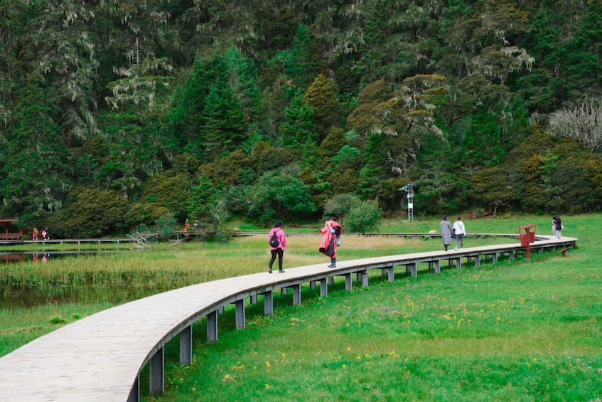 A wooden bridge over a pond with people walking on it. 2