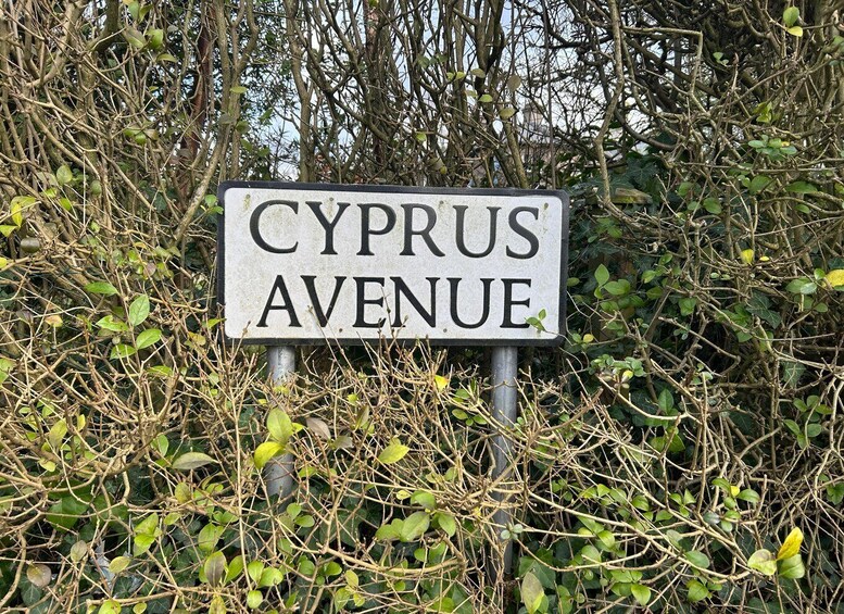 A street sign for Cyprus Avenue surrounded by dense foliage. 1