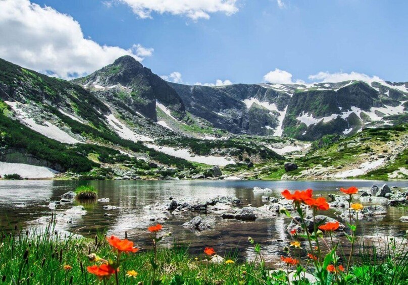 A mountain landscape with a lake, red flowers in the foreground, and snow-capped peaks. 2