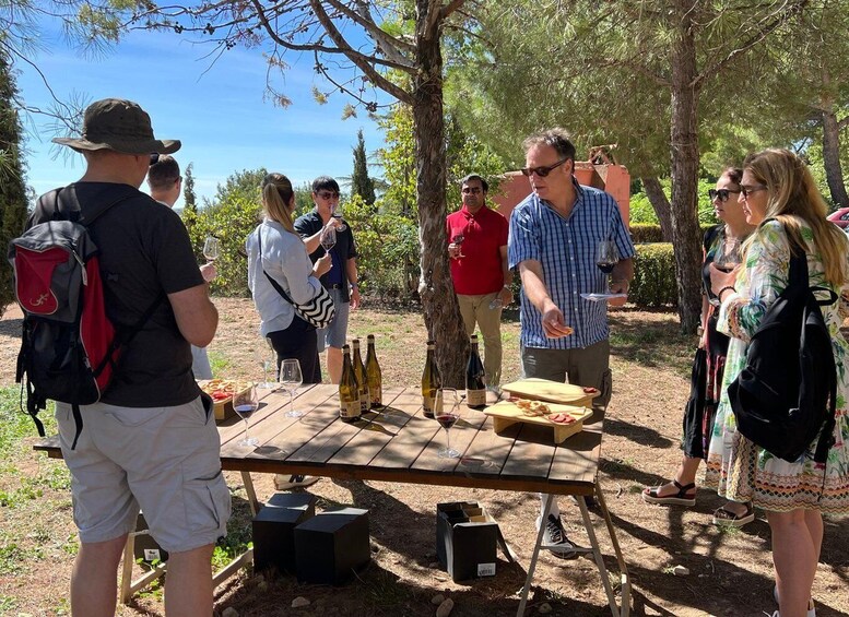 A group of people gathered around a picnic table with wine bottles and food in a sunny outdoor setting. 2