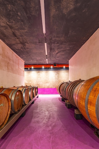 A wine cellar with wooden barrels on shelves and a purple carpet. 3