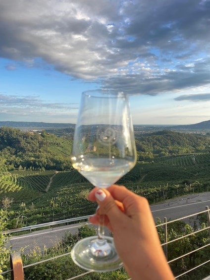 A hand holding a wine glass with a vineyard landscape in the background. 3