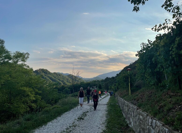 A gravel path with walkers, surrounded by greenery and hills. 2