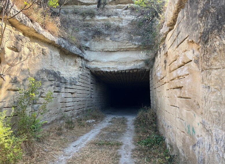 A tunnel entrance with a dirt path leading through a rocky landscape. 2
