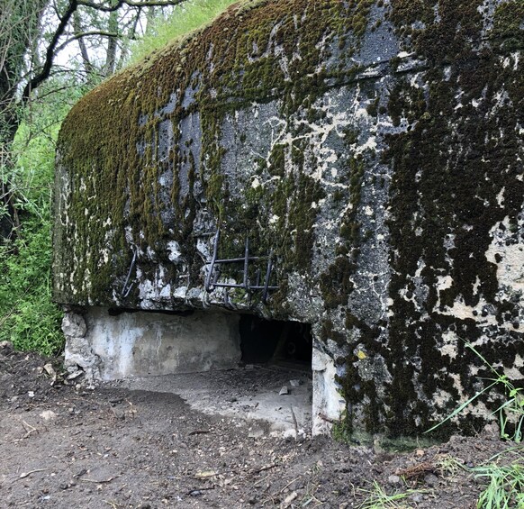 A moss-covered stone structure with a metal ladder and a small opening. 5