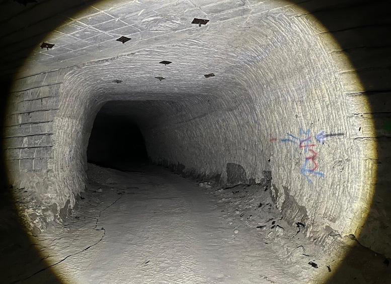 A tunnel with rough walls and a dark interior. 3