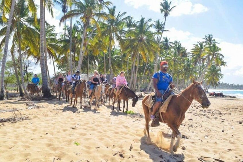 A group of people riding horses along a sandy beach with palm trees in the background. 3