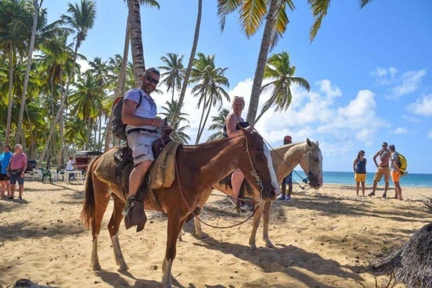 A person riding a horse on a sandy beach with palm trees in the background. 1
